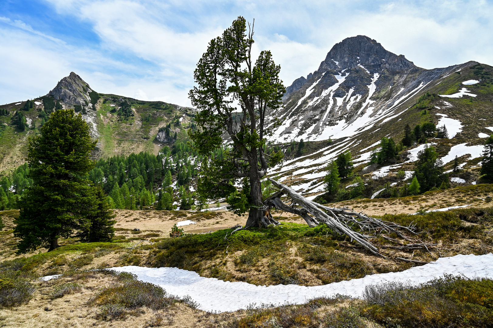 Nationalpark Hohe Tauern 19