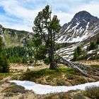 Nationalpark Hohe Tauern 19