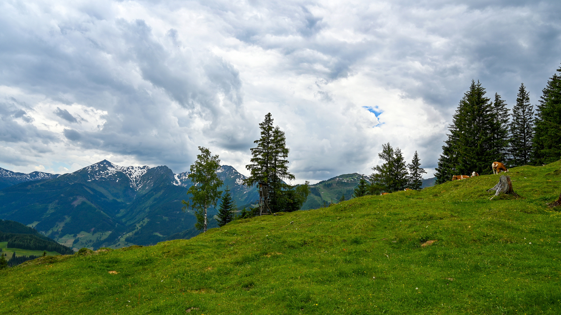 Nationalpark Hohe Tauern 21