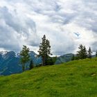 Nationalpark Hohe Tauern 21