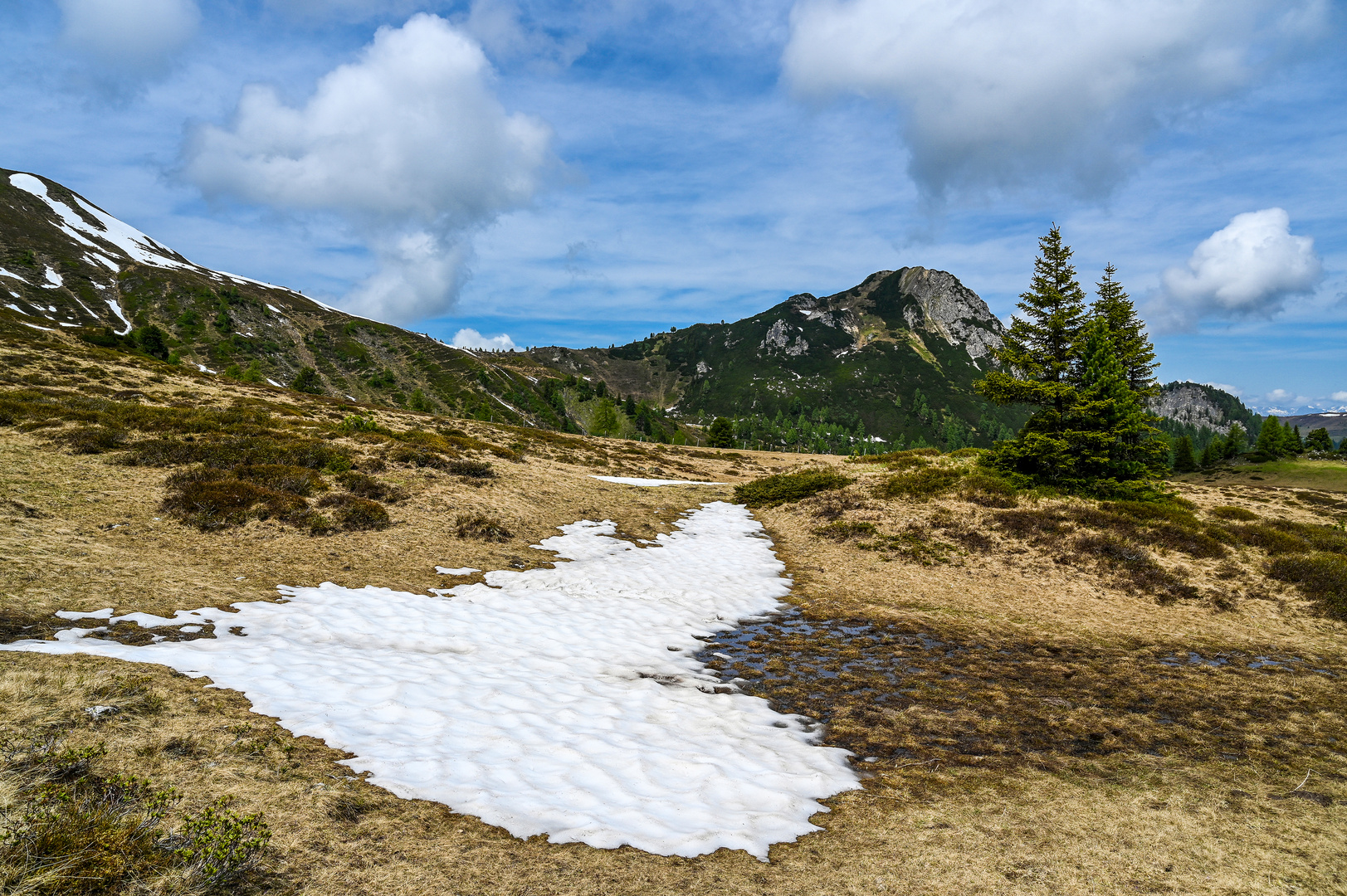 Nationalpark Hohe Tauern 24