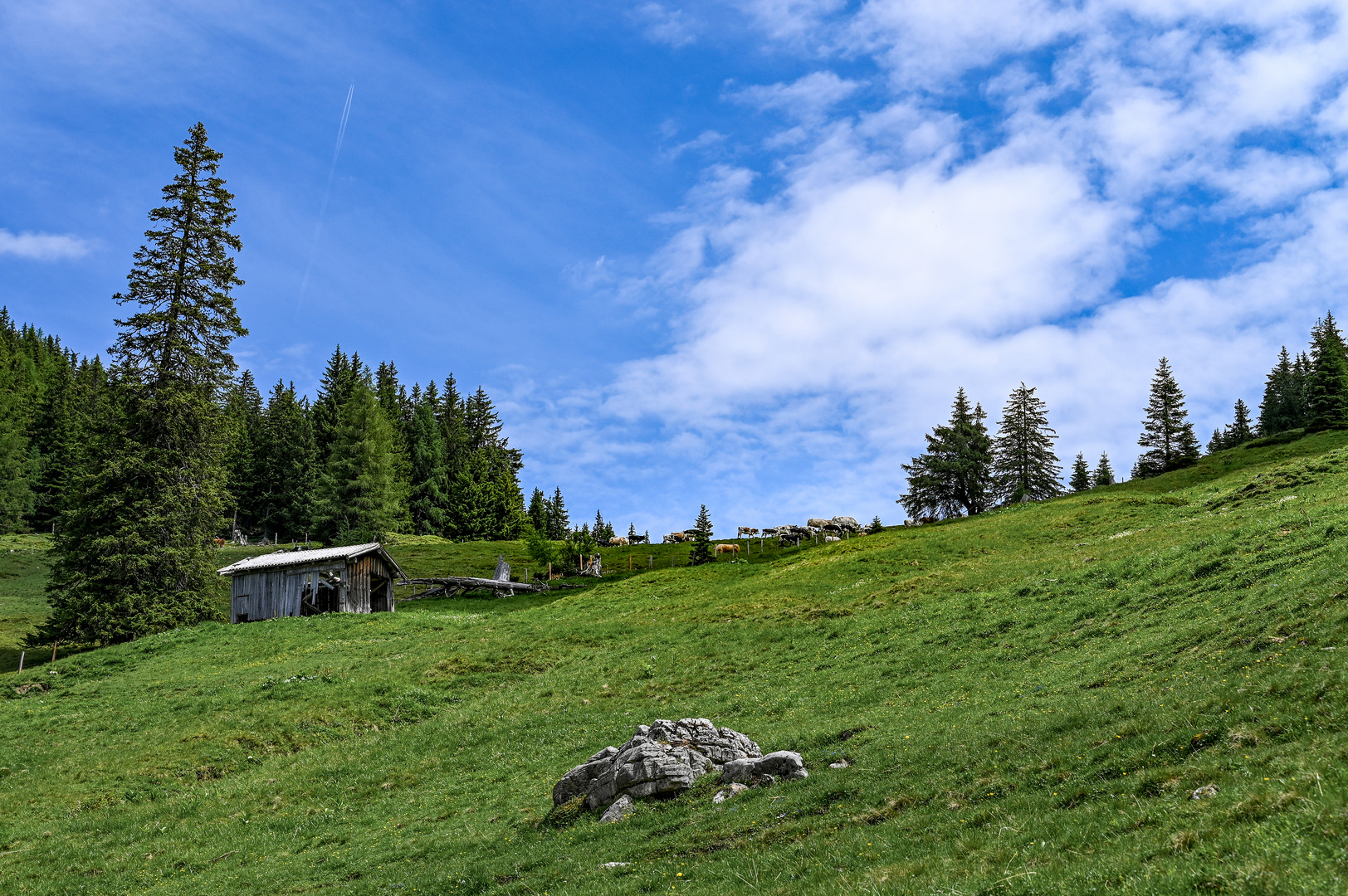 Nationalpark Hohe Tauern 31