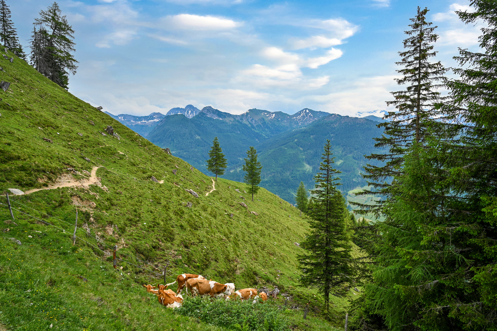 Nationalpark Hohe Tauern 35