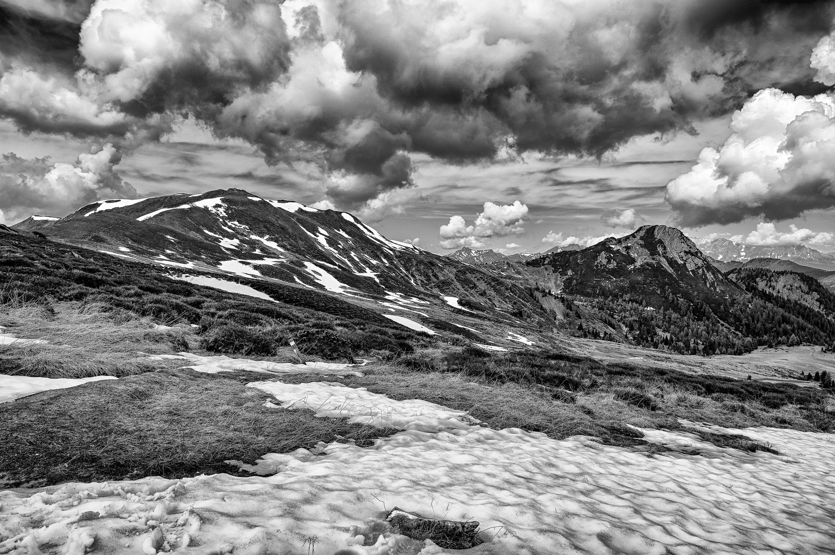 Nationalpark Hohe Tauern 50