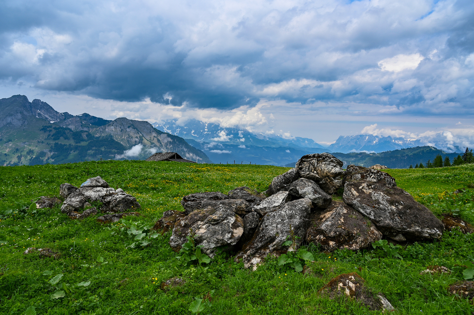 Nationalpark Hohe Tauern 51