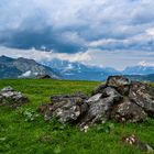 Nationalpark Hohe Tauern 51