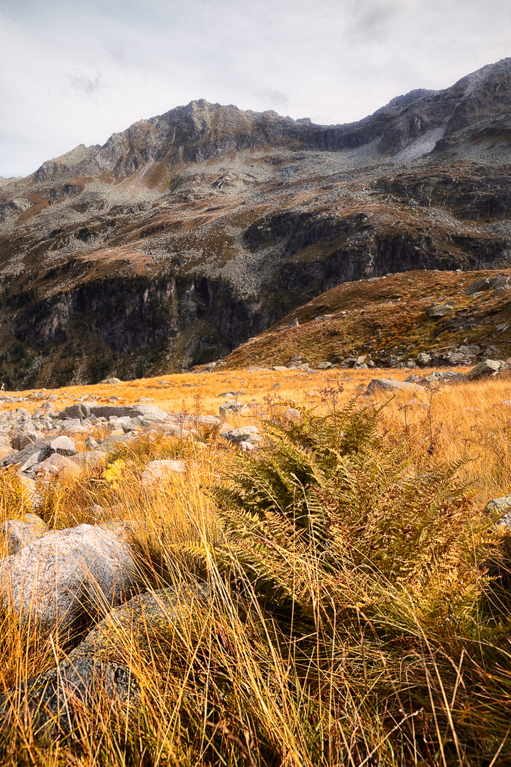 Nationalpark Hohe Tauern