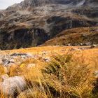 Nationalpark Hohe Tauern