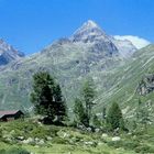 "Nationalpark Hohe Tauern"