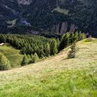 Nationalpark Hohe Tauern III