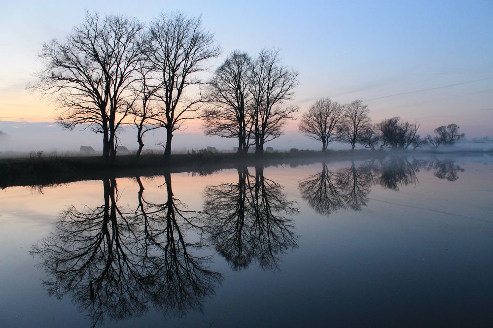 Nationalpark im Nebel