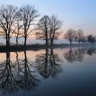 Nationalpark im Nebel