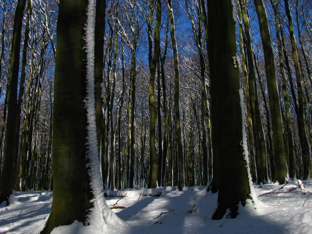 Nationalpark Jasmund