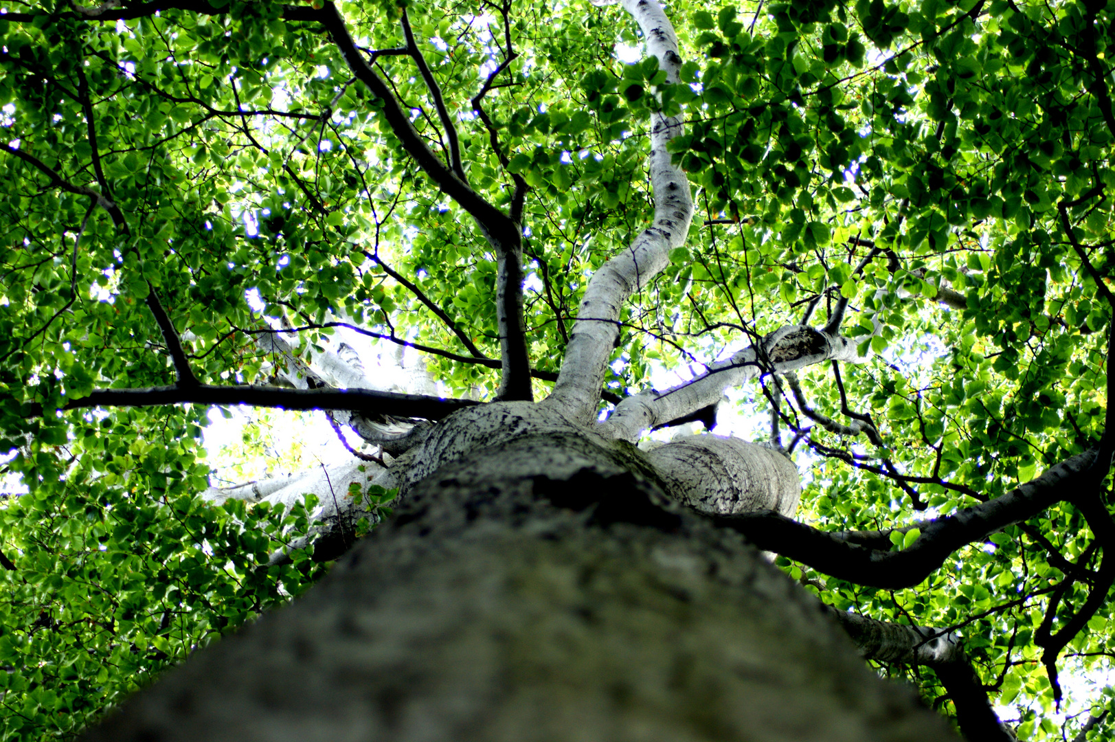 Nationalpark Jasmund