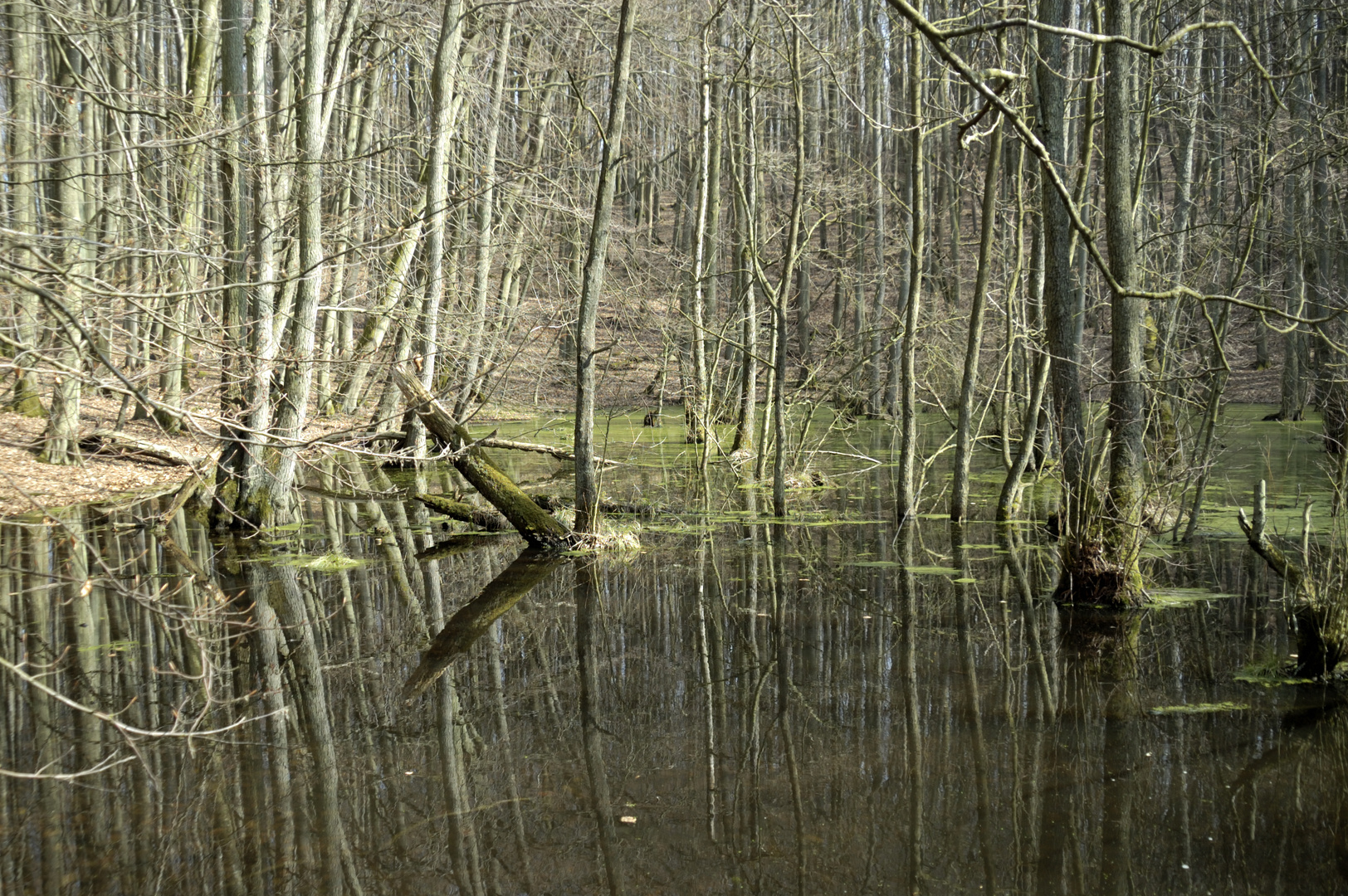 Nationalpark Jasmund