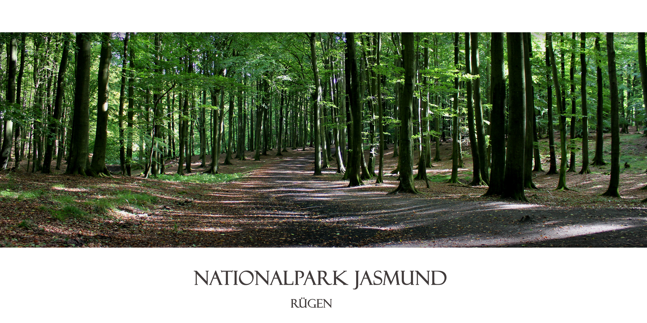 Nationalpark Jasmund