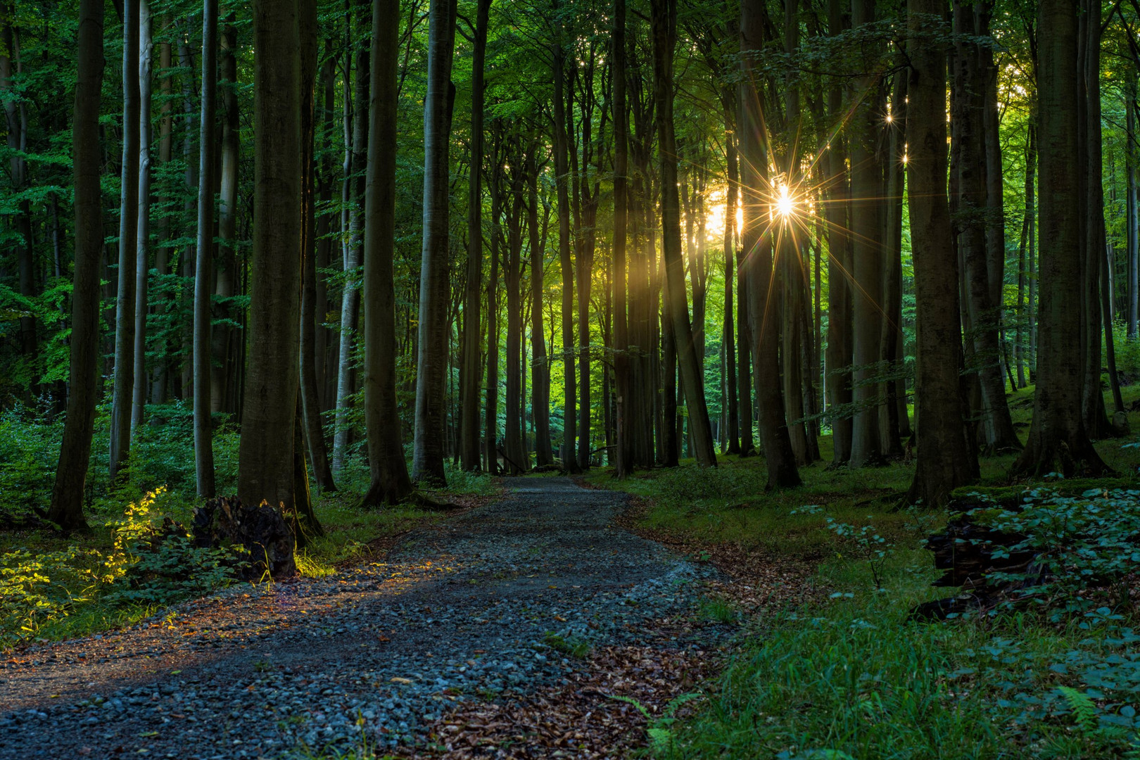 Nationalpark Jasmund