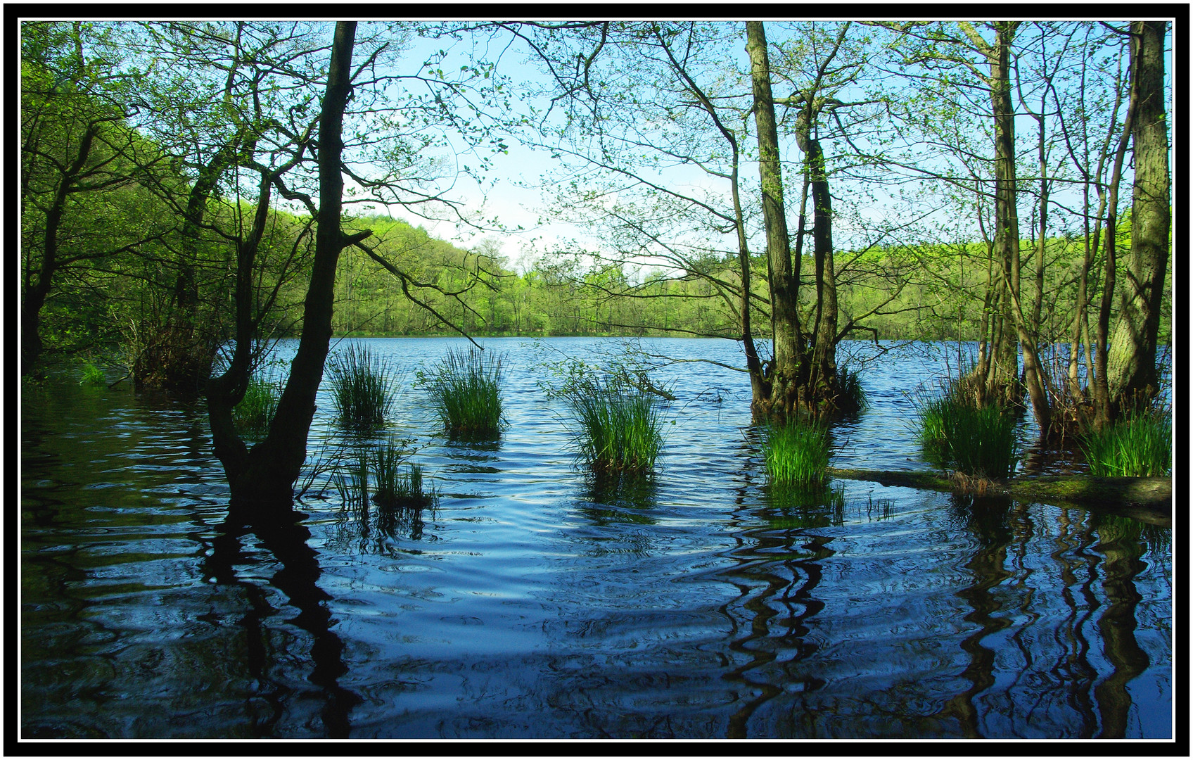 Nationalpark Jasmund