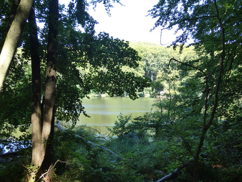 Nationalpark Jasmund - Herthasee