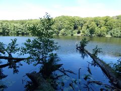 Nationalpark Jasmund - Herthasee