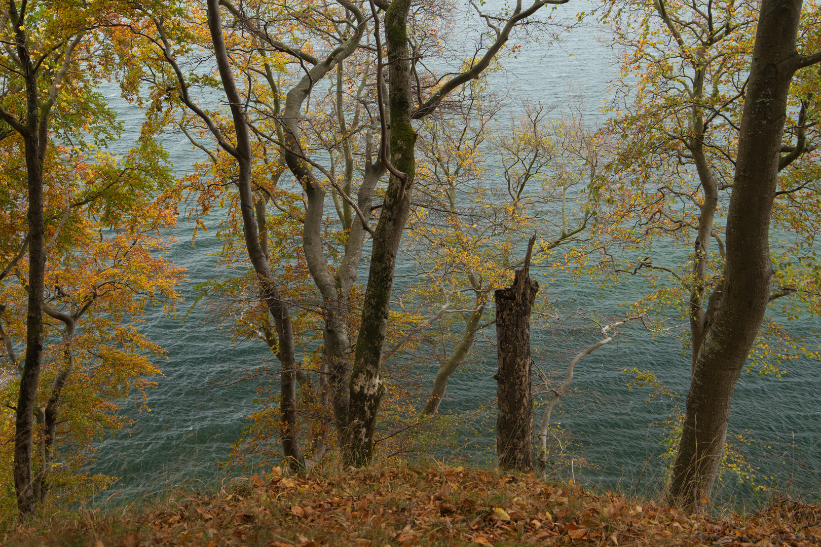 Nationalpark Jasmund im Herbst