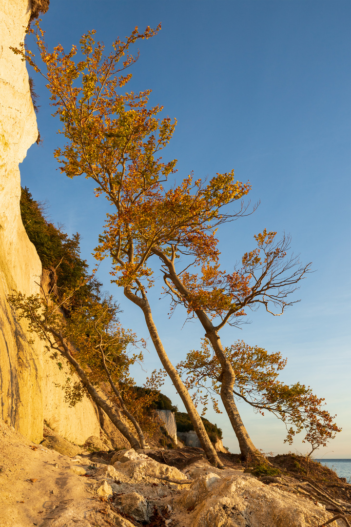 Nationalpark Jasmund (Insel Rügen)