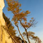 Nationalpark Jasmund (Insel Rügen)