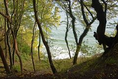 Nationalpark Jasmund - Insel Rügen