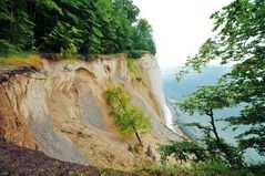 Nationalpark Jasmund (Kreidefelsen) 2