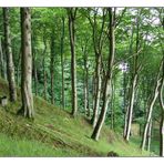 Nationalpark Jasmund - Rügen