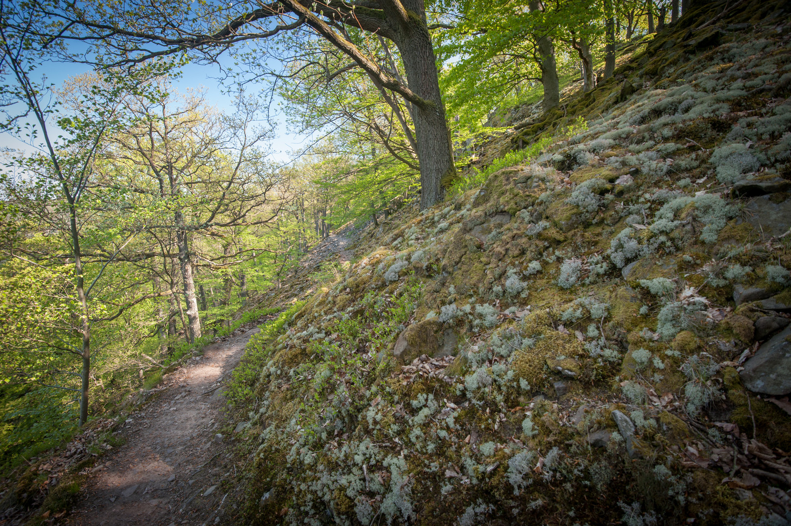 Nationalpark Kellerwald Edersee