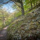 Nationalpark Kellerwald Edersee