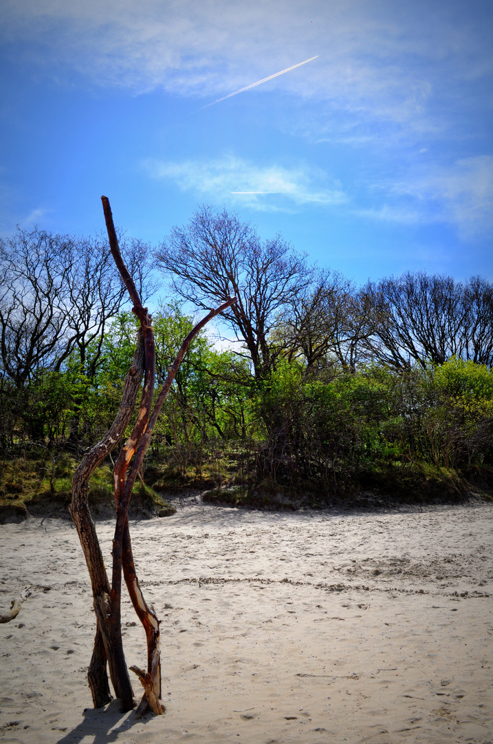 Nationalpark Kennemerduinen