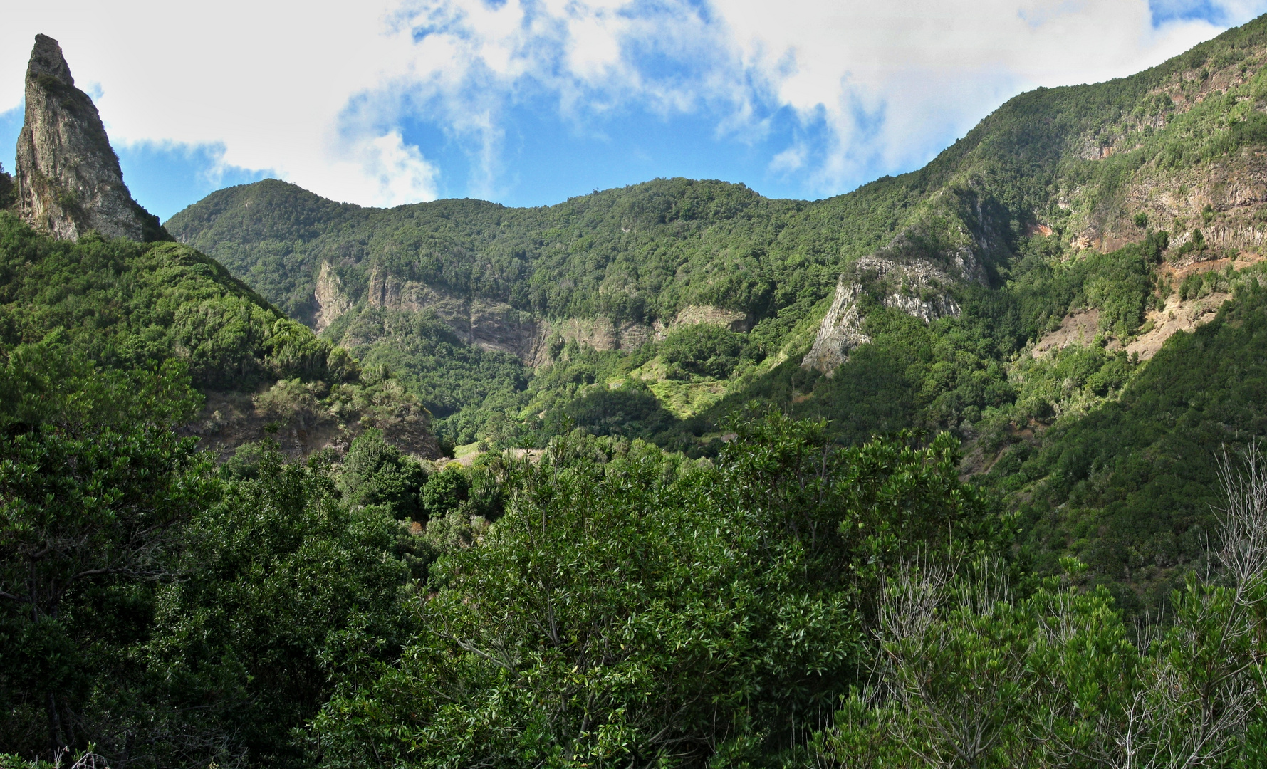 Nationalpark - La Gomera