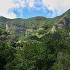 Nationalpark - La Gomera