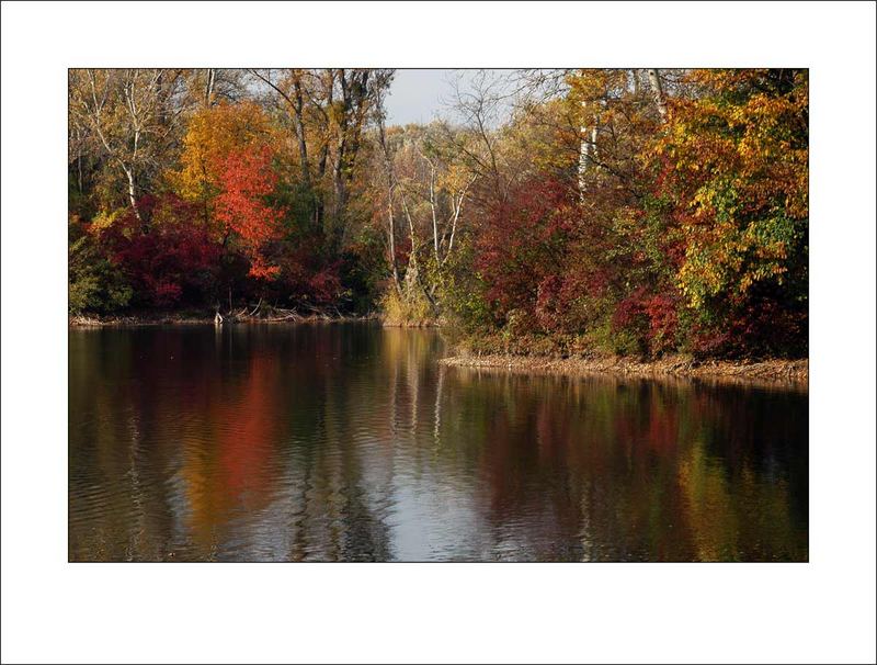 Nationalpark Lobau