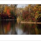 Nationalpark Lobau