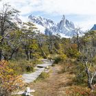 Nationalpark Los Glaciares - Patagonien (II)