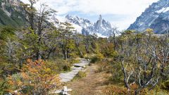 Nationalpark Los Glaciares - Patagonien (II)