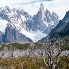 Nationalpark Los Glaciares - Patagonien (III)