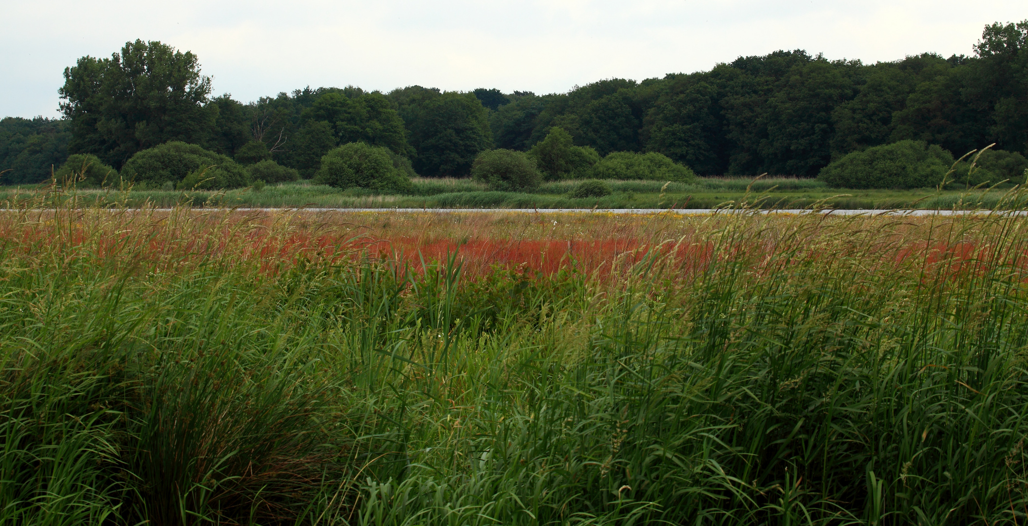 Nationalpark Maasduinen