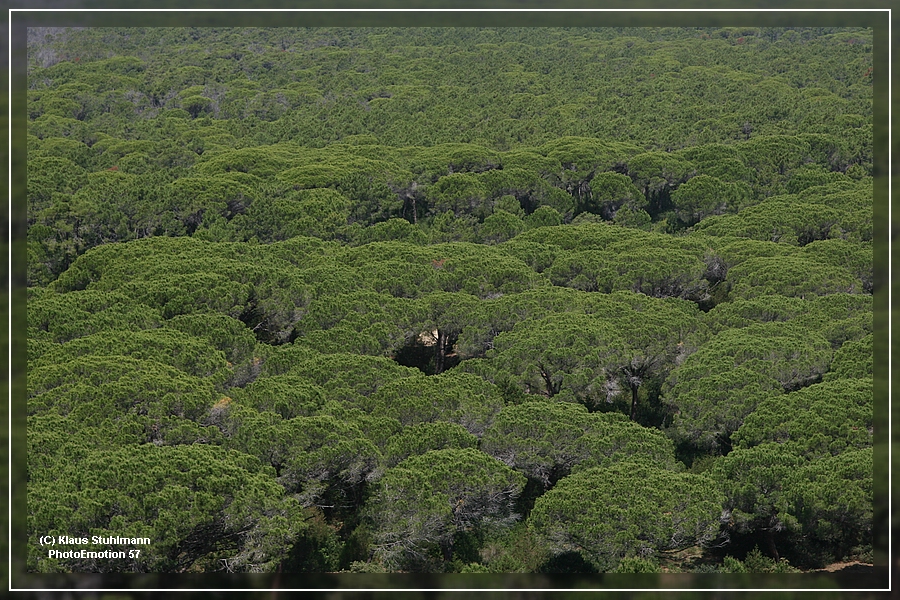 Nationalpark Maremma