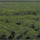 Nationalpark Maremma