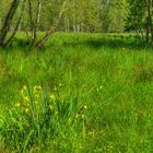 Nationalpark Müritz