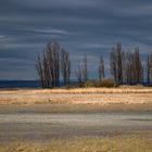 Nationalpark Neusiedler See - Seewinkel Illmitz 