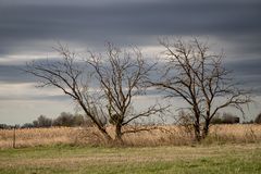 Nationalpark Neusiedler See- Seewinkel-Illmitz 