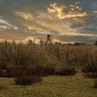 Nationalpark Neusiedlersee