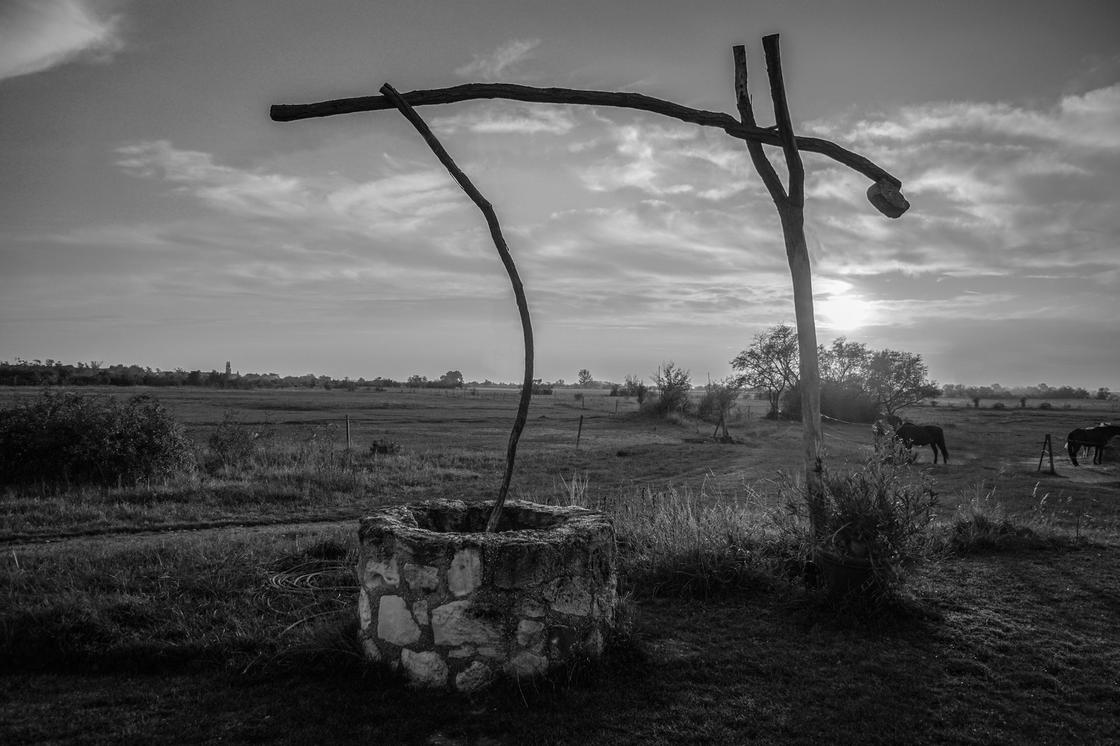 Nationalpark Neusiedlersee