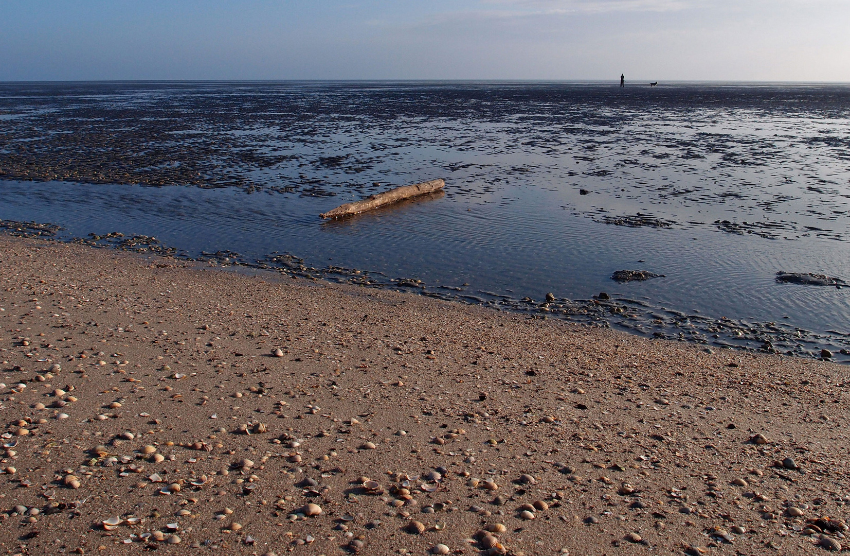 Nationalpark Niedersächsisches Wattenmeer