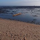 Nationalpark Niedersächsisches Wattenmeer